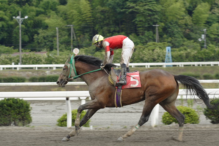 2007年6月10日（日） 高知競馬 10R 紫陽花特別_a0077663_21145649.jpg