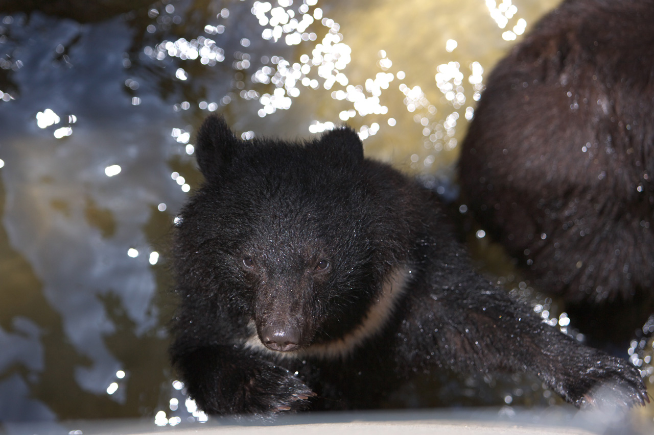 恩賜上野動物園29_e0060169_6392098.jpg