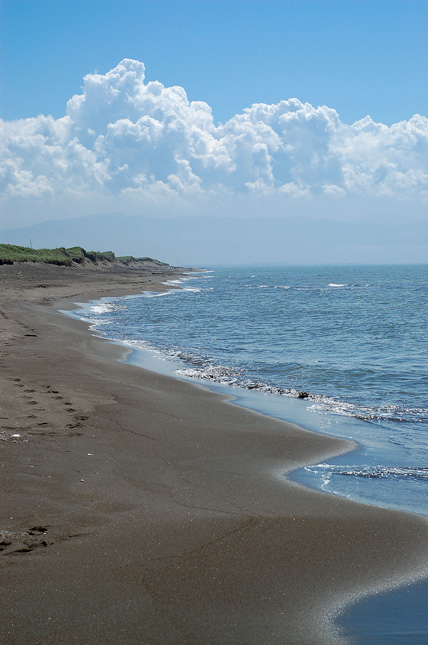 a0062697_22362072.jpg
