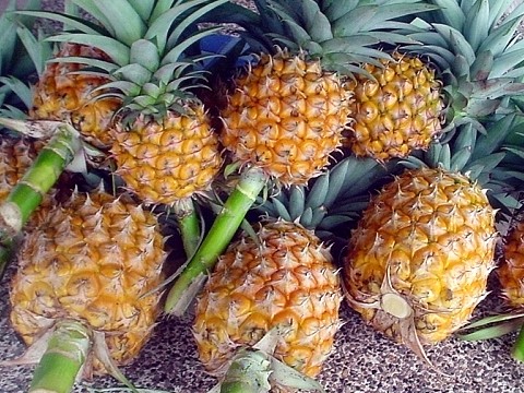 f0116707_612281.jpg