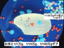 e0043819_913728.gif