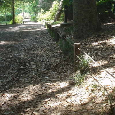 e0092221_835153.jpg