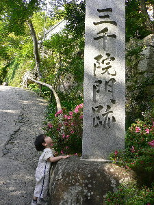 e0009324_17264442.jpg