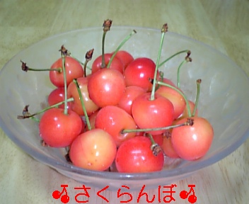 c0121141_07850.jpg