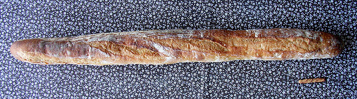 Paul 2003 / Baguette_c0120342_157669.jpg