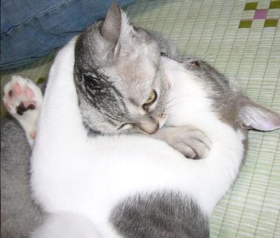 にしおかぁ すみこだよ~(風に)_f0002743_1340426.jpg