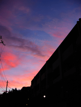 f0041351_14343393.gif