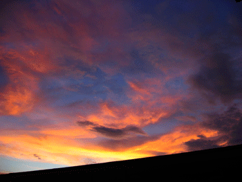 f0041351_14344543.gif