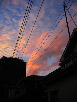 f0041351_1435731.gif