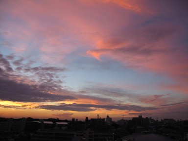 d0034659_94105.jpg