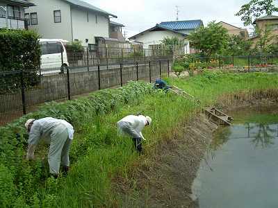 ６月１９日（火）・２２日（金）の活動_f0062462_22224981.jpg