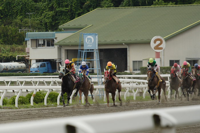 倉兼育康騎手、地方通算勝利900勝を達成！！_a0077663_19551645.jpg