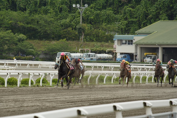 倉兼育康騎手、地方通算勝利900勝を達成！！_a0077663_19554738.jpg