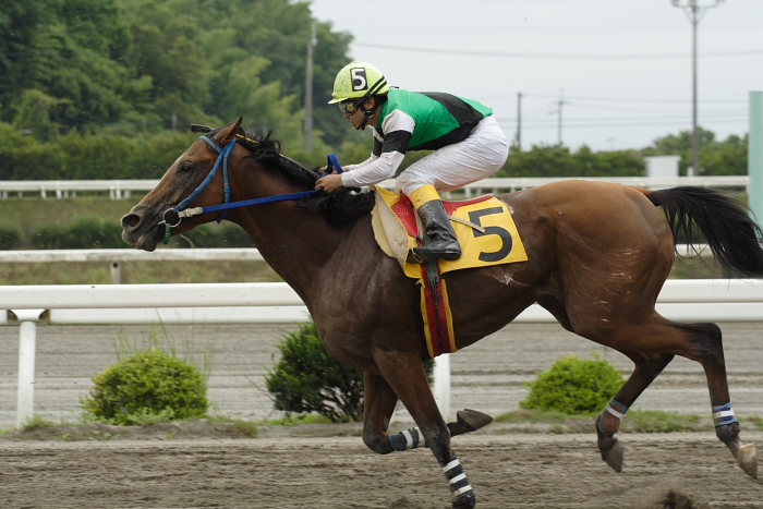 倉兼育康騎手、地方通算勝利900勝を達成！！_a0077663_1956301.jpg