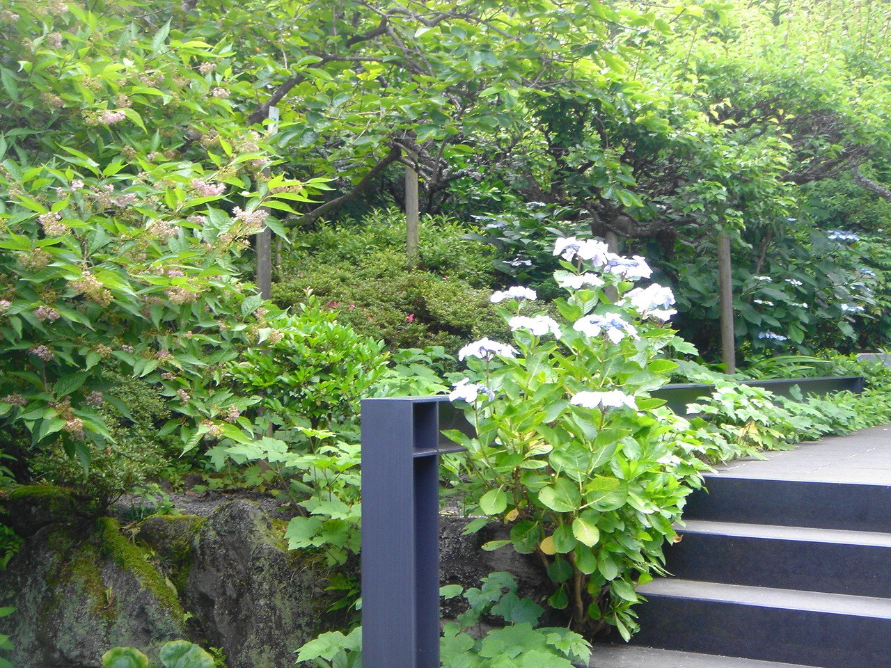 e0006772_0212933.jpg