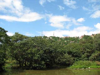 a0086274_21201193.jpg