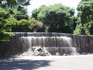 c0105785_2213189.jpg