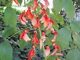 c0105785_22144229.jpg