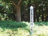 17. 新宿超高層ビルと新宿中央公園_c0105785_2295113.jpg