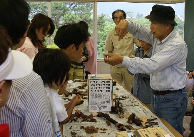 梅雨の「きのこ」観察会_b0049200_19494465.jpg