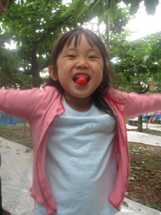 e0048503_1523770.jpg