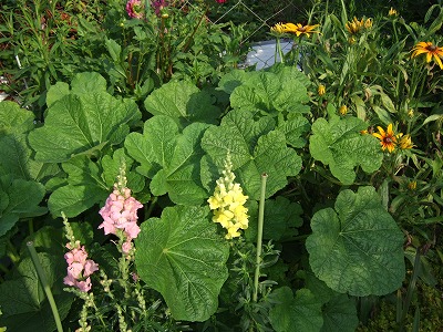 b0107310_17415100.jpg