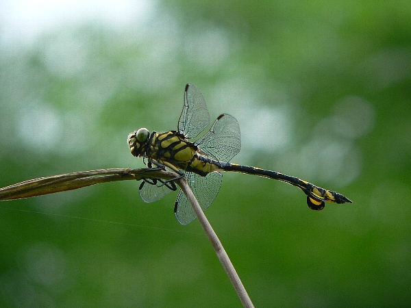 e0002314_20494161.jpg
