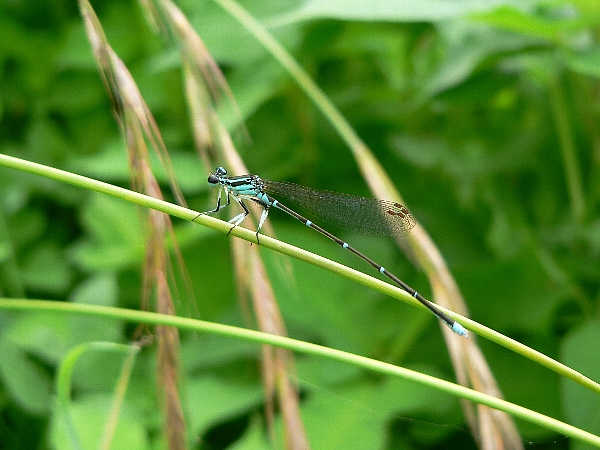 e0002314_2050330.jpg