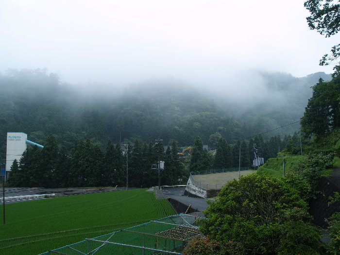 今日は霧が出て雨。。_c0116915_22551331.jpg