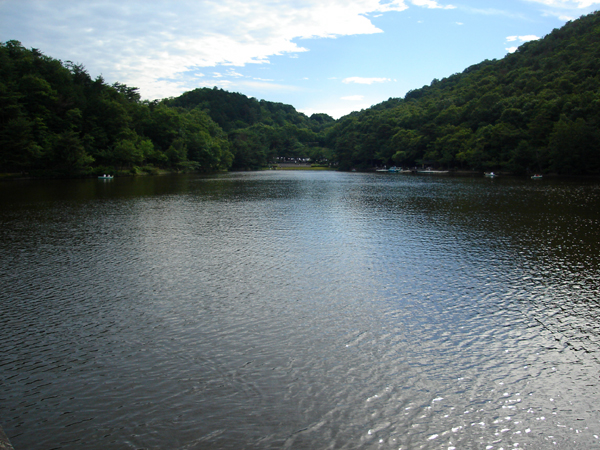 f0107315_1951738.jpg