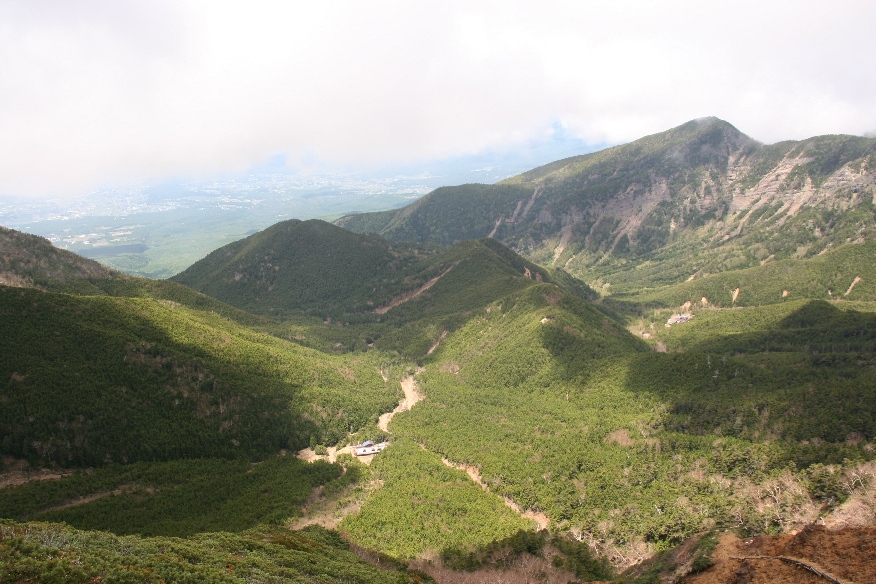 f0056321_228895.jpg