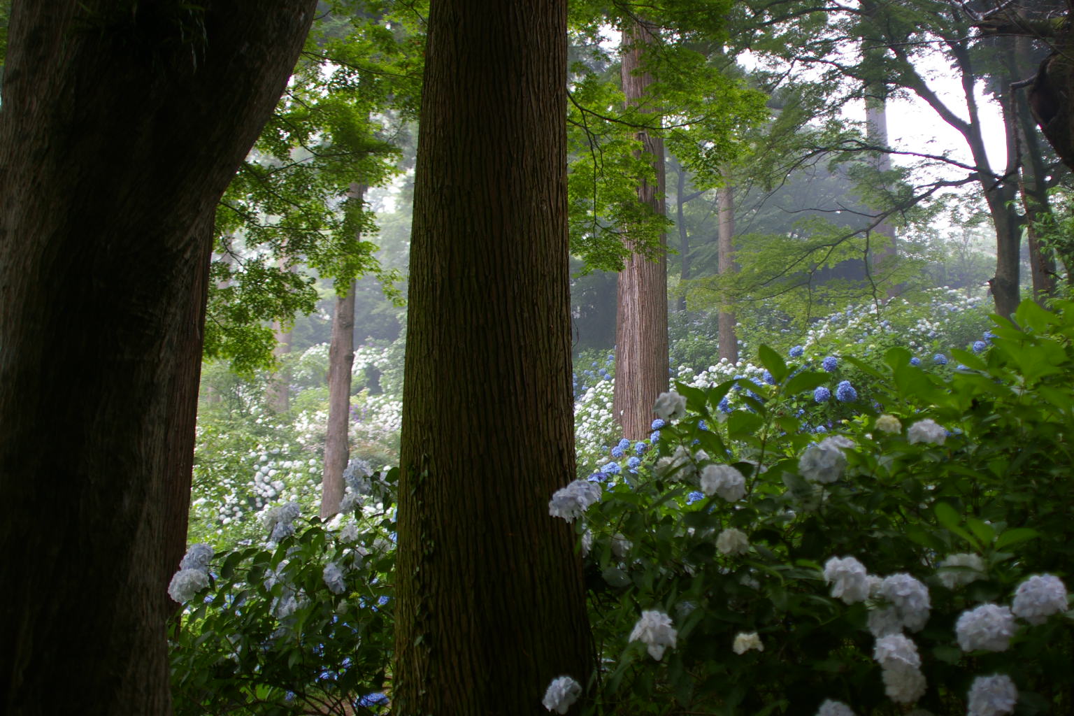 c0107924_23664.jpg