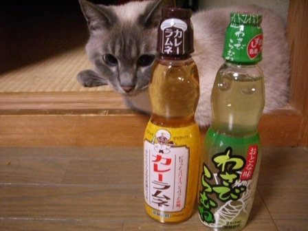お待たせ!恒例変な物~~(笑)_c0006826_1954125.jpg
