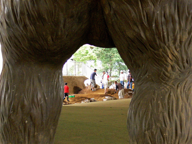 川口ゴリラ公園コース整備完了!!_b0065730_17123355.jpg