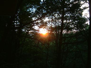 e0031331_17311926.jpg