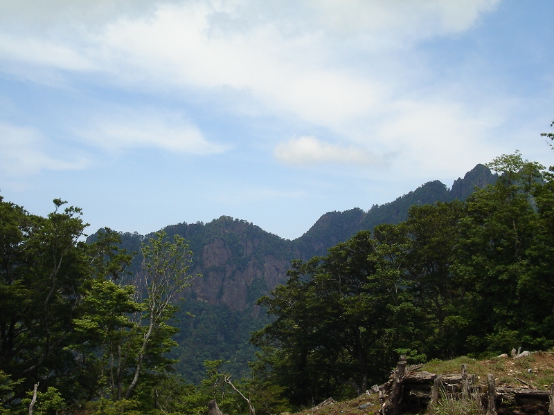 f0039234_02037.jpg
