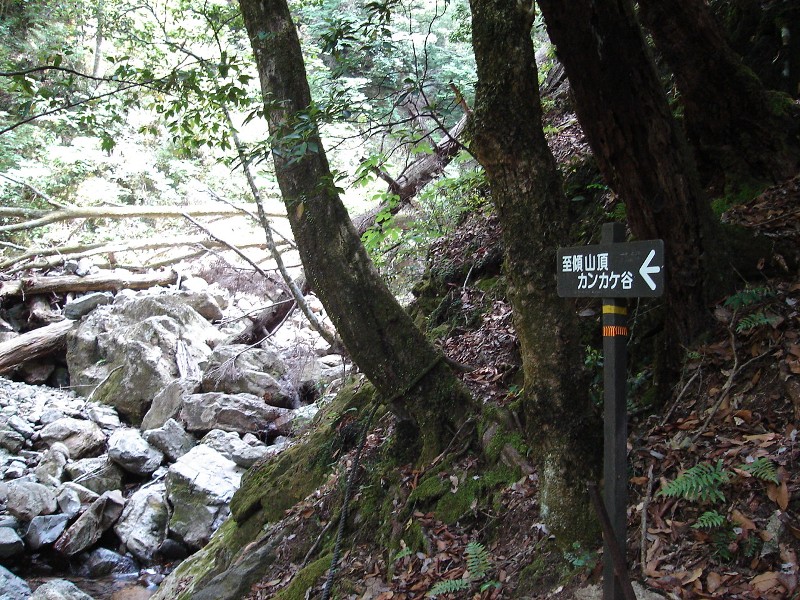 f0039234_02315.jpg