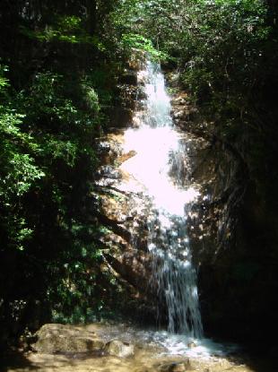 b0079436_200690.jpg