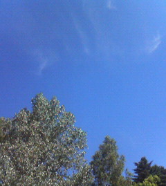 c0118536_22946.jpg