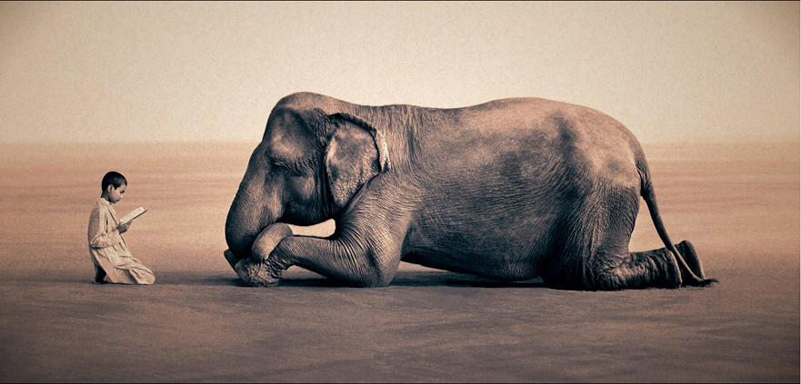 6ちゃん見ながら。～gregory colbert_c0022340_22282727.jpg