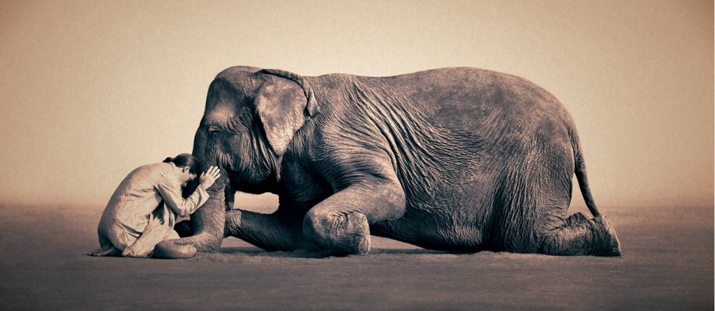 6ちゃん見ながら。～gregory colbert_c0022340_2231501.jpg