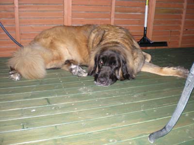 e0023643_04569.jpg