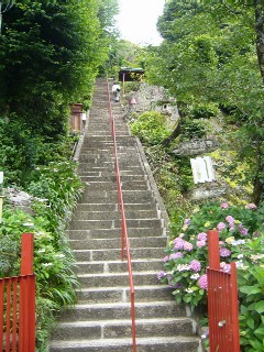 禅林寺にて紫陽花を観賞　（日帰り岐阜市の旅・その３）_e0110047_1805850.jpg