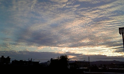 昨日は晴れ! きょうは雨。。。_c0049950_16332039.jpg