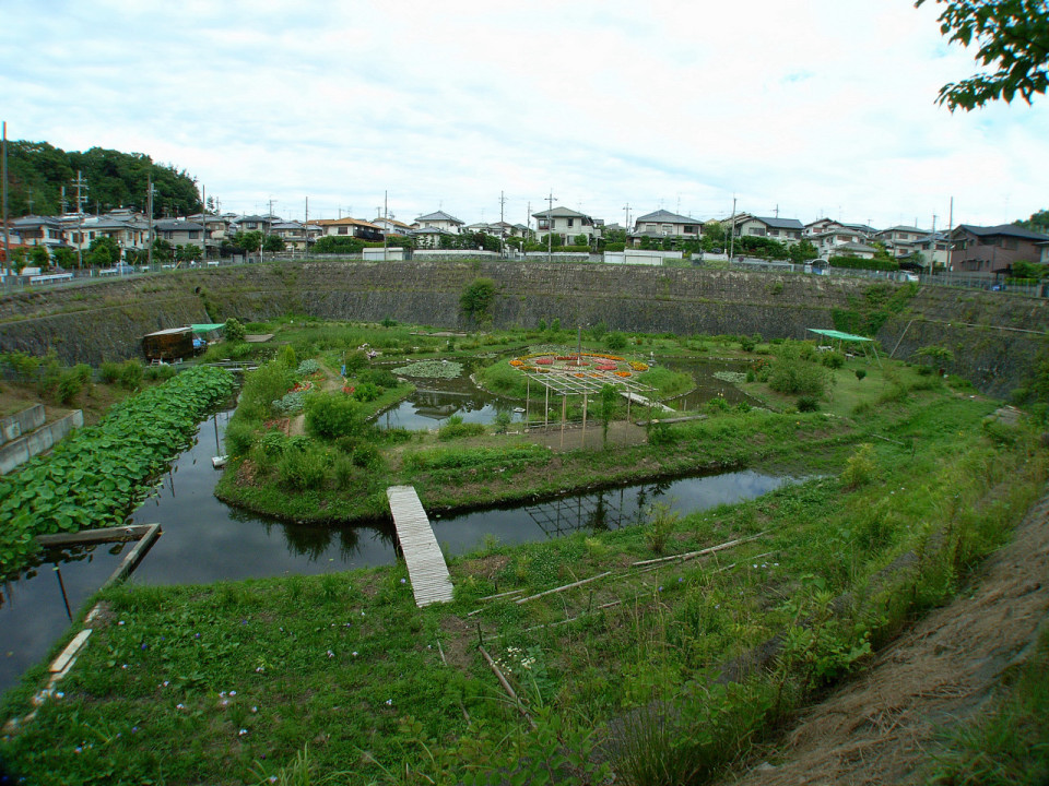 f0055257_93263.jpg