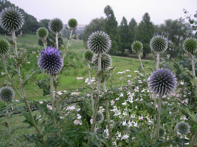 d0116059_1027122.jpg