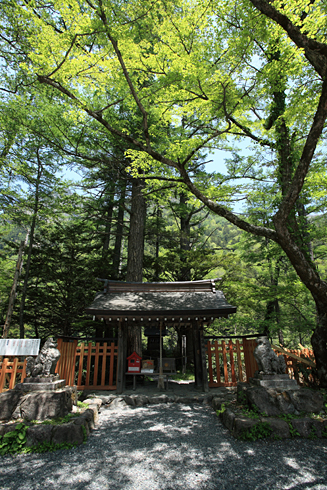 d0113164_21248.jpg