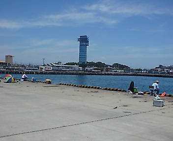 帰宅(その1)_e0033570_19152060.jpg