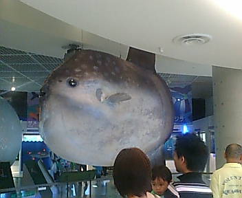 帰宅(その2)_e0033570_19235110.jpg