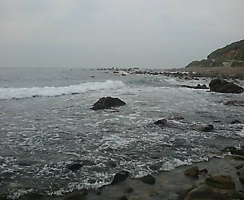 帰宅(その3)_e0033570_19475131.jpg